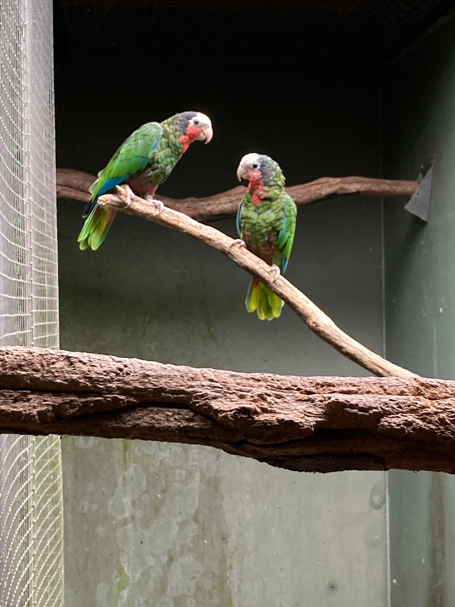 Fugletur_2023_026