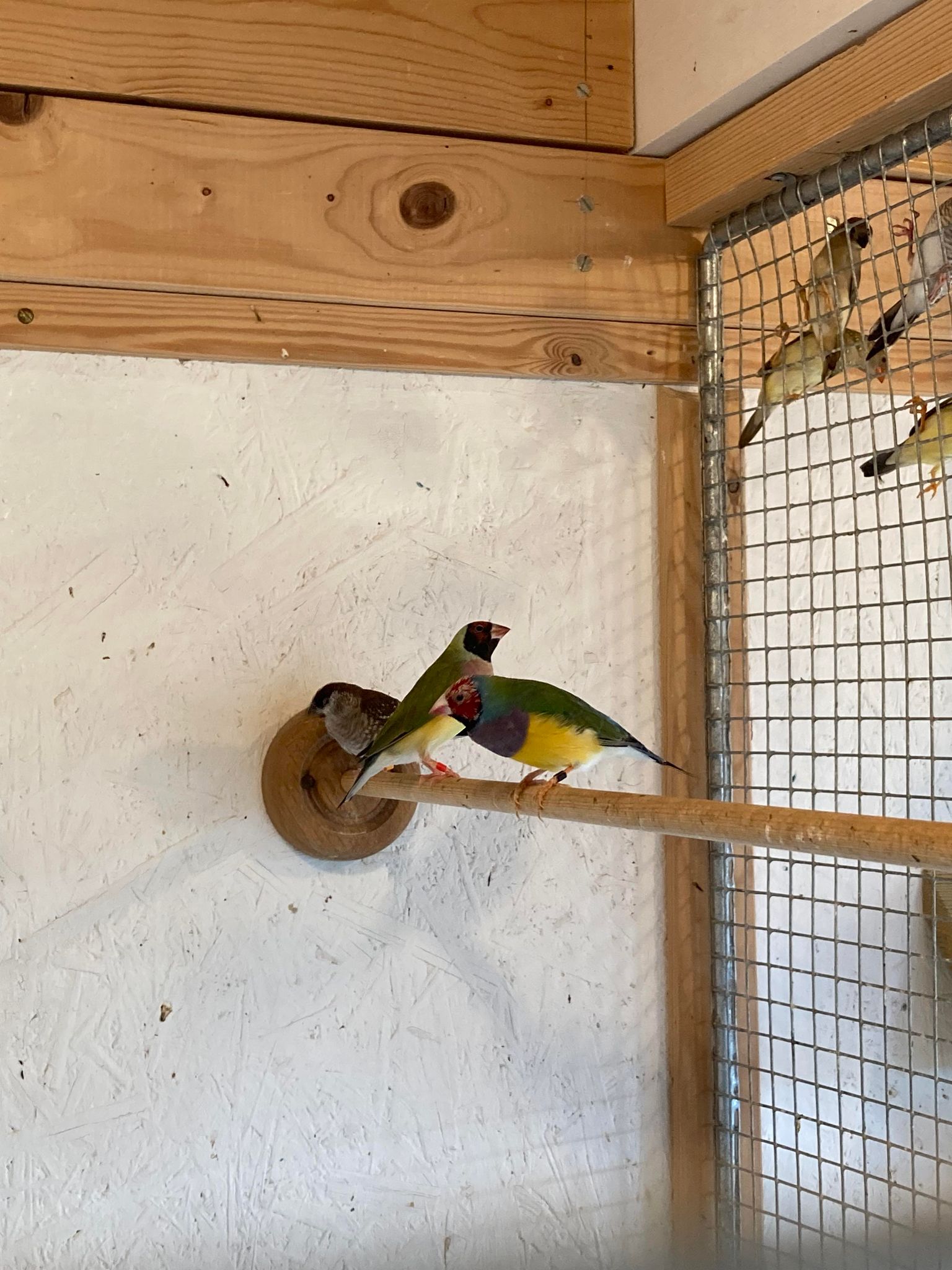 Fugletur_2023_068